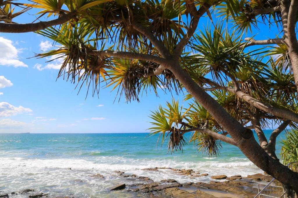 Alex Heads Beachfront Resort King Bed Studio Room Alexandra Headland Eksteriør bilde